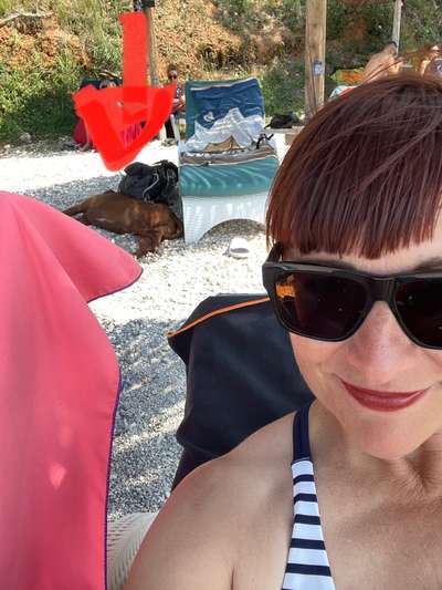 Rhodesian Ridgeback-Beitrag-Bild