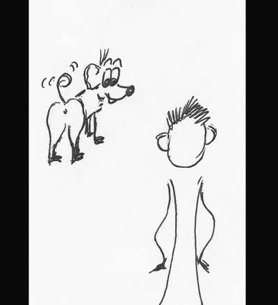 Rhodesian Ridgeback-Beitrag-Bild