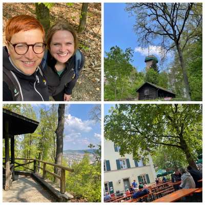 Rhodesian Ridgeback-Beitrag-Bild