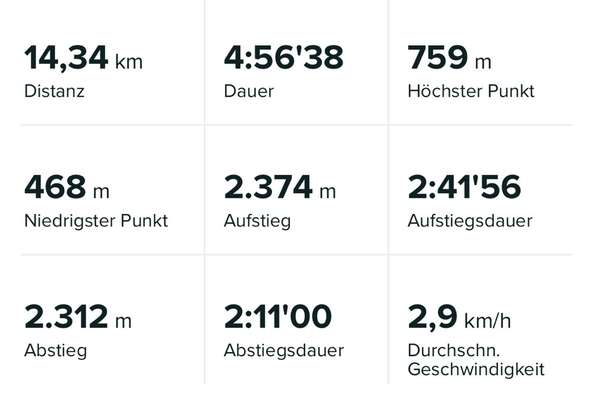 Rhodesian Ridgeback-Beitrag-Bild