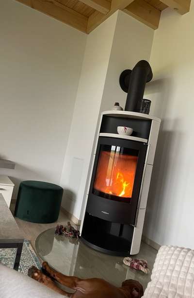 Rhodesian Ridgeback-Beitrag-Bild