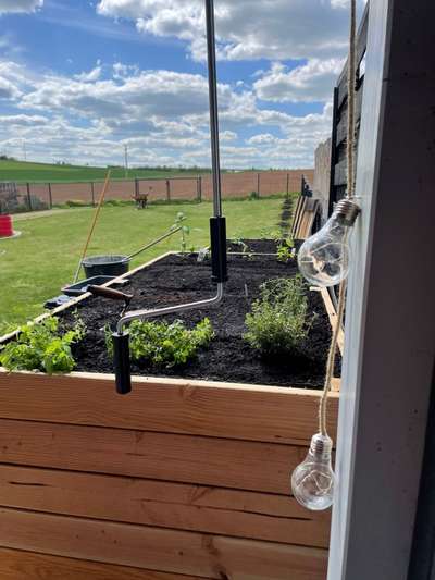 Rhodesian Ridgeback-Beitrag-Bild