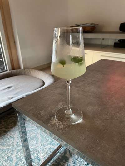 Rhodesian Ridgeback-Beitrag-Bild