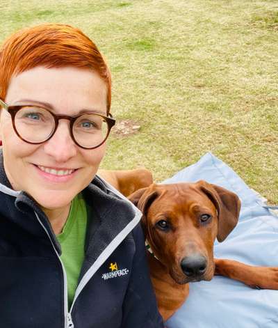 Rhodesian Ridgeback-Beitrag-Bild