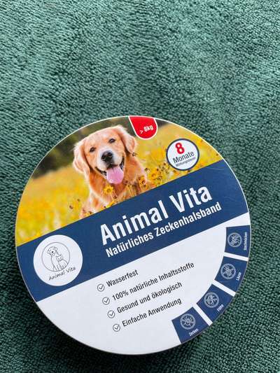 Rhodesian Ridgeback-Beitrag-Bild