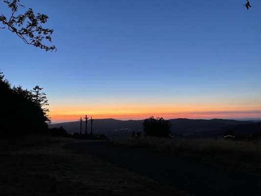 Rhodesian Ridgeback-Beitrag-Bild