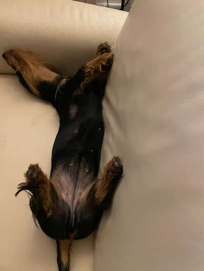 Fotochallenge Nr.65-Beitrag-Bild