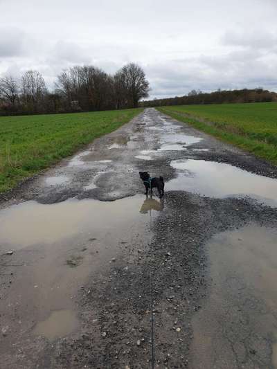 30. Collagen Challenge - Wege/Straßen-Beitrag-Bild