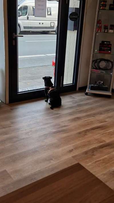 120. Fotochallenge-Beitrag-Bild