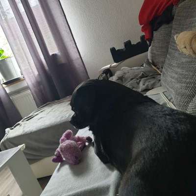 Was hat euch heute genervt?-Beitrag-Bild
