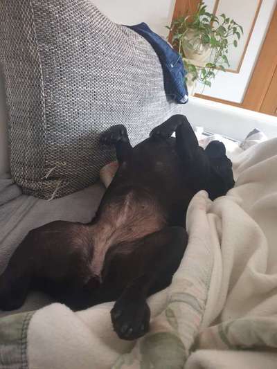 Foto Challenge Nr. 134-Beitrag-Bild