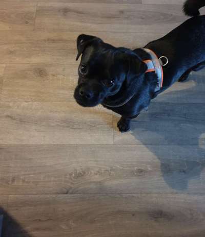 Doppelgänger gesucht !-Beitrag-Bild