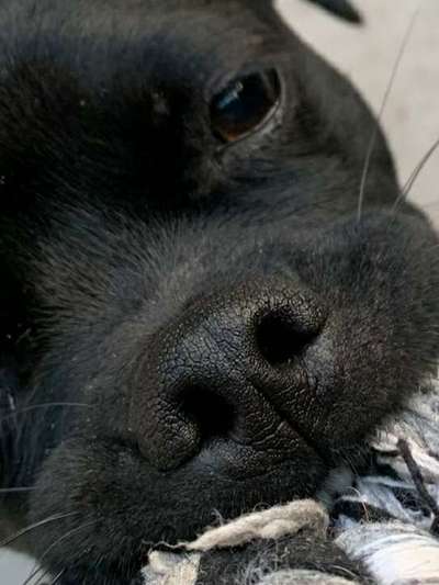 42. Handy Fotochallenge - Den richtigen Riecher haben-Beitrag-Bild