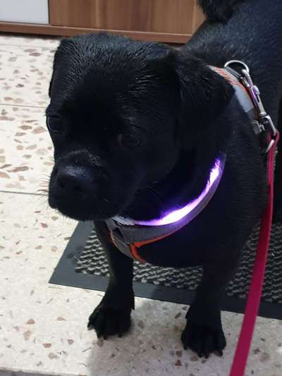 Foto Challenge Nr.133-Beitrag-Bild