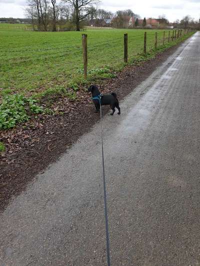 30. Collagen Challenge - Wege/Straßen-Beitrag-Bild