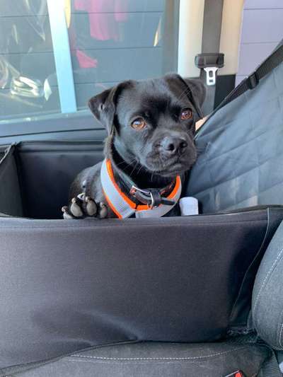 117. Fotochallenge-Beitrag-Bild