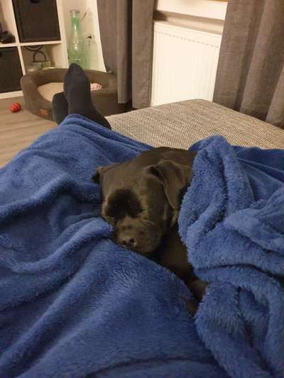 Fotochallange - Eingekugelt-Beitrag-Bild