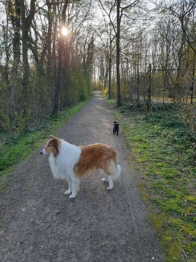 30. Collagen Challenge - Wege/Straßen-Beitrag-Bild