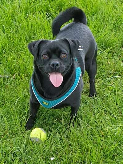 10. Farben Foto-Challenge ---- Blau-Beitrag-Bild