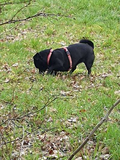 Farben Fotochallenge Thema ,,Grün"-Beitrag-Bild