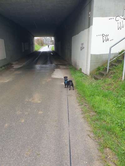 30. Collagen Challenge - Wege/Straßen-Beitrag-Bild