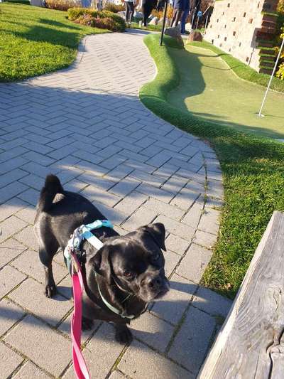 Warum muss es denn unbedingt der sein?-Beitrag-Bild