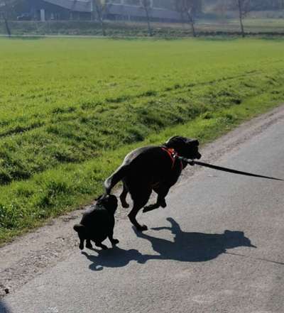 "Die eingefangene Magie des Augenblicks"-Beitrag-Bild