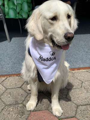 Immer lächeln !-Beitrag-Bild