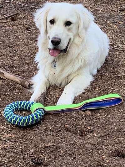 Immer lächeln !-Beitrag-Bild