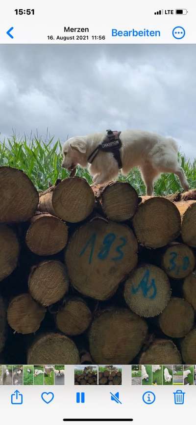 27. Handy Fotochallenge-Beitrag-Bild