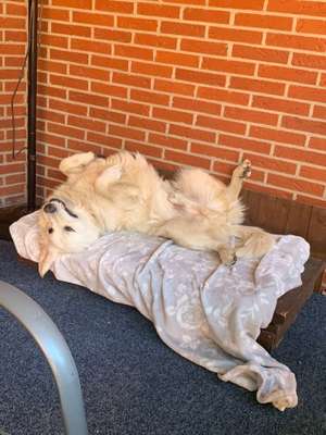 Immer lächeln !-Beitrag-Bild