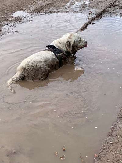 Foto Challenge - BEENDET - bitte aktuelle Challenge nutzen-Beitrag-Bild