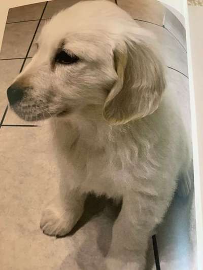 Vorher.... Nachher-Beitrag-Bild