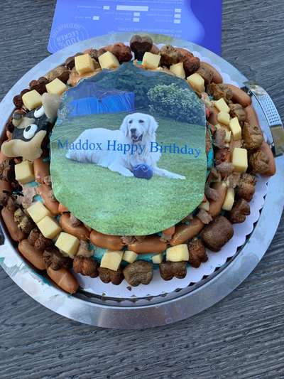 Hundetorte-Beitrag-Bild