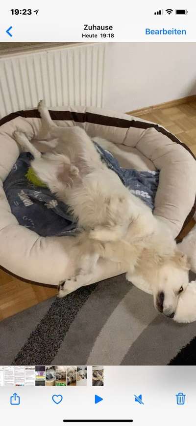 Die unbequemsten und lustigsten Schlafpositionen-Beitrag-Bild