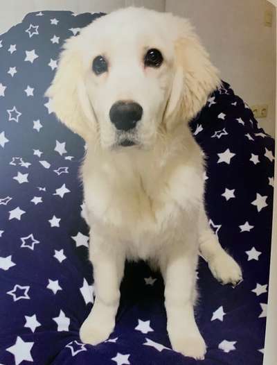 Foto Challenge 3-Beitrag-Bild