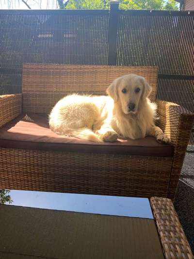 Vorher.... Nachher-Beitrag-Bild