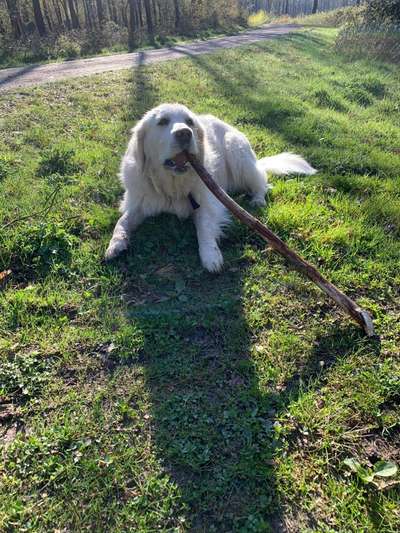 Herbst Bilder-Beitrag-Bild