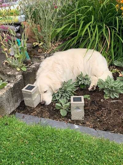 Fotochallenge Nr. 94 It's summer time-Beitrag-Bild