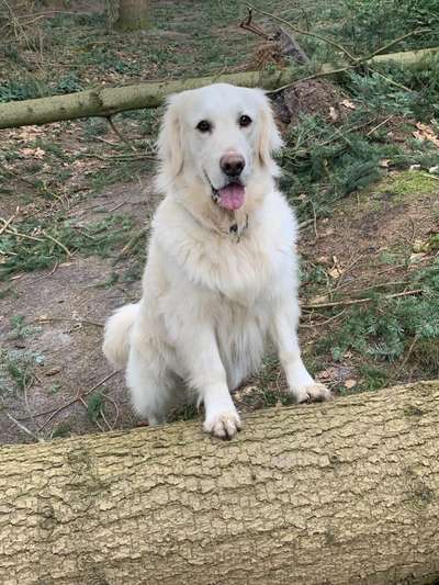 Zeigt mir die tollste Nahaufnahme von eurer Fellnase-Beitrag-Bild