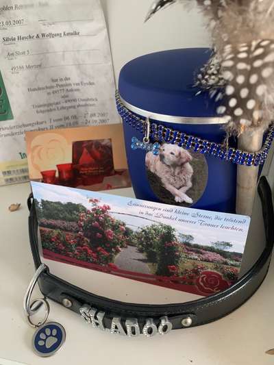 Wie ich meine Tiere verabschiede-Beitrag-Bild