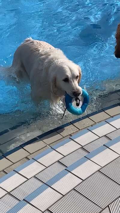 Fotochallenge Nr. 64-Beitrag-Bild