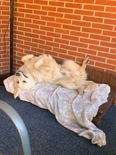 Die unbequemsten und lustigsten Schlafpositionen-Beitrag-Bild