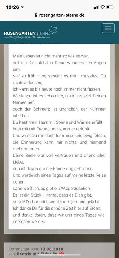 Regenbogenbrücke-Beitrag-Bild