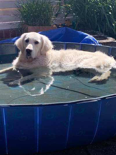 FOTOCHALLANGE NR.71 BADEFREUDE-Beitrag-Bild