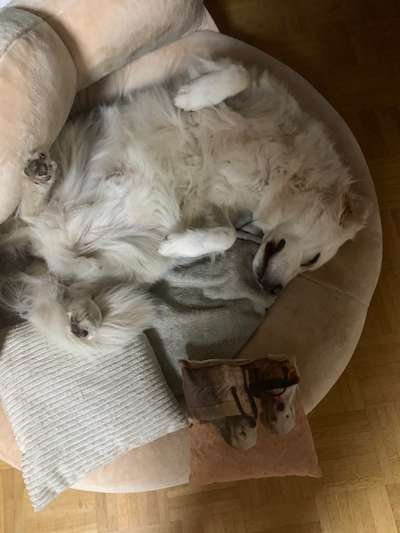 Fotochallenge Nr.65-Beitrag-Bild