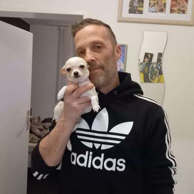 Hundetreffen-Ludwigshafen Umgebung