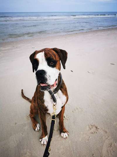 Fotochallenge 27-Beitrag-Bild