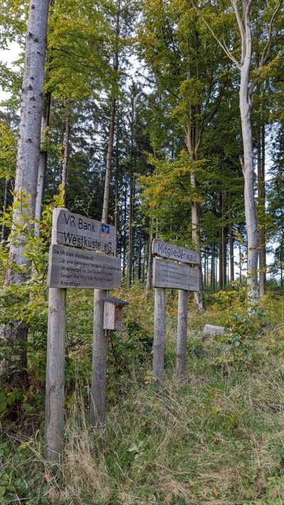 Hundeauslaufgebiet-Kreistannen-Bild