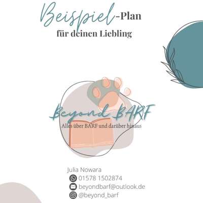 %{de_profession_title}-Ernährungspläne-Bild